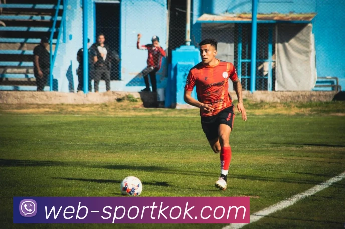 KOK体育平台生态图